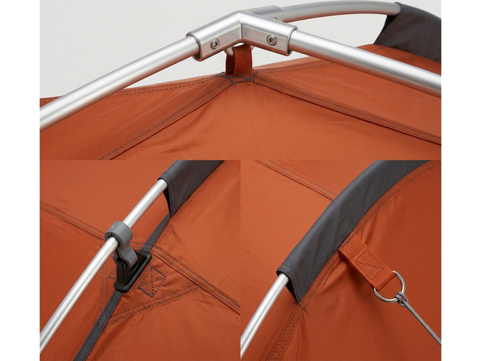 Rglvn product detail